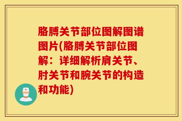 胳膊关节部位图解图谱图片(胳膊关节部位图解:详细解析肩关节、肘关节和腕关节的构造和功能)-第1张图片-氨糖科普网 胳膊关节部位图解图谱图片(胳膊关节部位图解:详细解析肩关节、肘关节和腕关节的构造和功能)-第1张图片-氨糖科普网