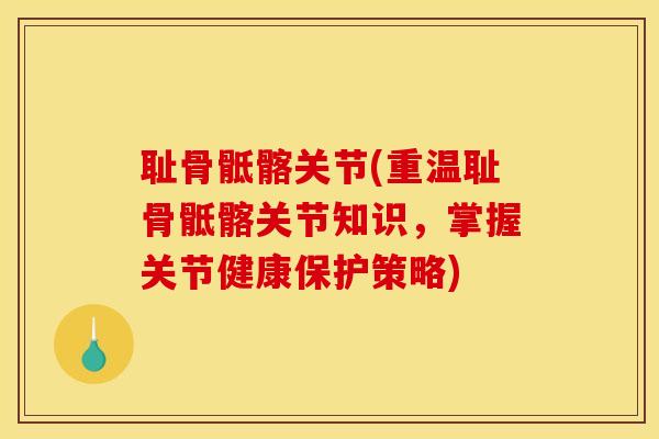 耻骨骶髂关节(重温耻骨骶髂关节知识,掌握关节健康保护策略)-第1张图片-氨糖科普网 耻骨骶髂关节(重温耻骨骶髂关节知识,掌握关节健康保护策略)-第1张图片-氨糖科普网