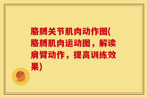胳膊关节肌肉动作图(胳膊肌肉运动图,解读肩臂动作,提高训练效果)-第1张图片-氨糖科普网 胳膊关节肌肉动作图(胳膊肌肉运动图,解读肩臂动作,提高训练效果)-第1张图片-氨糖科普网