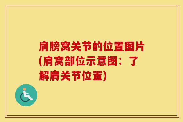 肩膀窝关节的位置图片(肩窝部位示意图：了解肩关节位置)-第1张图片-氨糖科普网