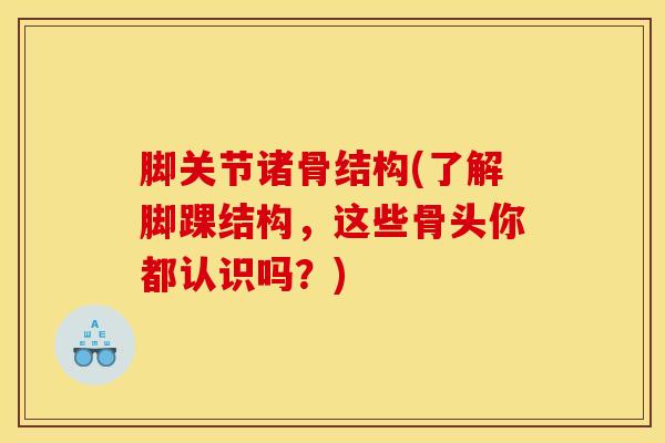 脚关节诸骨结构(了解脚踝结构,这些骨头你都认识吗?)-第1张图片-氨糖科普网 脚关节诸骨结构(了解脚踝结构,这些骨头你都认识吗?)-第1张图片-氨糖科普网
