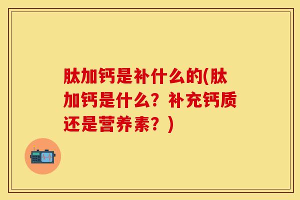 肽加钙是补什么的(肽加钙是什么?补充钙质还是营养素?)-第1张图片-氨糖科普网 肽加钙是补什么的(肽加钙是什么?补充钙质还是营养素?)-第1张图片-氨糖科普网
