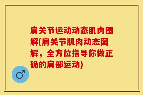 肩关节运动动态肌肉图解(肩关节肌肉动态图解，全方位指导你做正确的肩部运动)-第1张图片-氨糖科普网