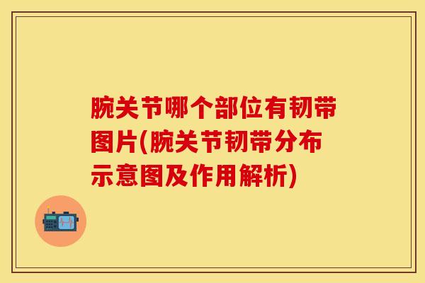 腕关节哪个部位有韧带图片(腕关节韧带分布示意图及作用解析)-第1张图片-氨糖科普网