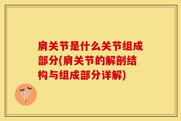 肩关节是什么关节组成部分(肩关节的解剖结构与组成部分详解)-第1张图片-氨糖科普网 肩关节是什么关节组成部分(肩关节的解剖结构与组成部分详解)-第1张图片-氨糖科普网