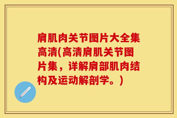 肩肌肉关节图片大全集高清(高清肩肌关节图片集,详解肩部肌肉结构及运动解剖学。)-第1张图片-氨糖科普网 肩肌肉关节图片大全集高清(高清肩肌关节图片集,详解肩部肌肉结构及运动解剖学。)-第1张图片-氨糖科普网