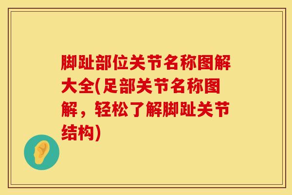 脚趾部位关节名称图解大全(足部关节名称图解,轻松了解脚趾关节结构)-第1张图片-氨糖科普网 脚趾部位关节名称图解大全(足部关节名称图解,轻松了解脚趾关节结构)-第1张图片-氨糖科普网