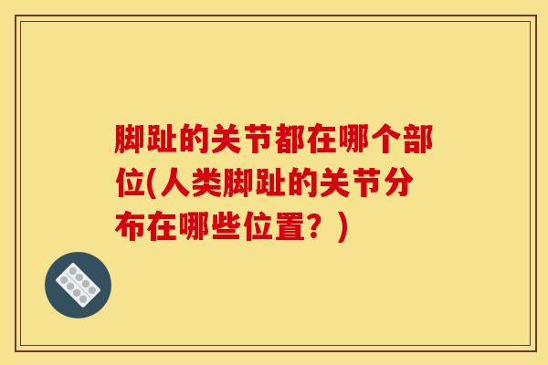 脚趾的关节都在哪个部位(人类脚趾的关节分布在哪些位置?)-第1张图片-氨糖科普网 脚趾的关节都在哪个部位(人类脚趾的关节分布在哪些位置?)-第1张图片-氨糖科普网
