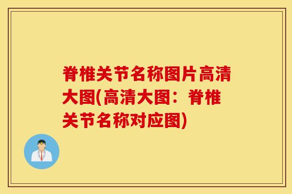 脊椎关节名称图片高清大图(高清大图：脊椎关节名称对应图)-第1张图片-氨糖科普网