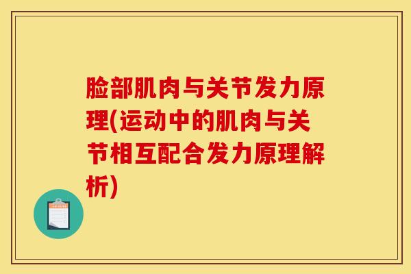 脸部肌肉与关节发力原理(运动中的肌肉与关节相互配合发力原理解析)-第1张图片-氨糖科普网 脸部肌肉与关节发力原理(运动中的肌肉与关节相互配合发力原理解析)-第1张图片-氨糖科普网