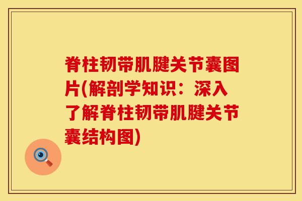 脊柱韧带肌腱关节囊图片(解剖学知识:深入了解脊柱韧带肌腱关节囊结构图)-第1张图片-氨糖科普网 脊柱韧带肌腱关节囊图片(解剖学知识:深入了解脊柱韧带肌腱关节囊结构图)-第1张图片-氨糖科普网