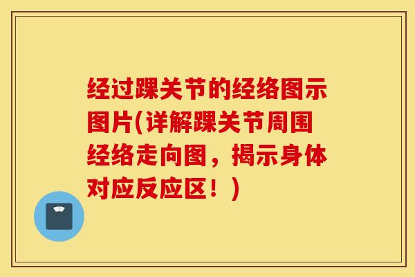 经过踝关节的经络图示图片(详解踝关节周围经络走向图，揭示身体对应反应区！)-第1张图片-氨糖科普网