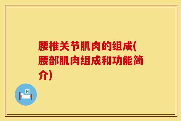 腰椎关节肌肉的组成(腰部肌肉组成和功能简介)-第1张图片-氨糖科普网 腰椎关节肌肉的组成(腰部肌肉组成和功能简介)-第1张图片-氨糖科普网