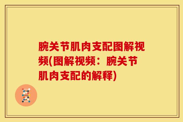 腕关节肌肉支配图解视频(图解视频:腕关节肌肉支配的解释)-第1张图片-氨糖科普网 腕关节肌肉支配图解视频(图解视频:腕关节肌肉支配的解释)-第1张图片-氨糖科普网