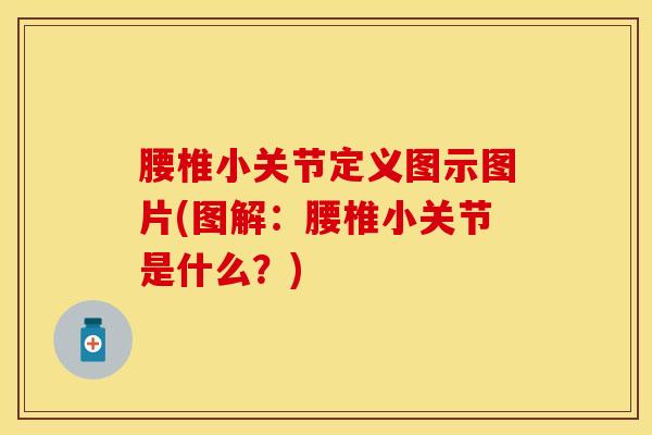 腰椎小关节定义图示图片(图解:腰椎小关节是什么?)-第1张图片-氨糖科普网 腰椎小关节定义图示图片(图解:腰椎小关节是什么?)-第1张图片-氨糖科普网