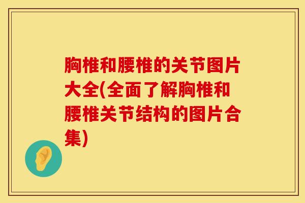 胸椎和腰椎的关节图片大全(全面了解胸椎和腰椎关节结构的图片合集)-第1张图片-氨糖科普网 胸椎和腰椎的关节图片大全(全面了解胸椎和腰椎关节结构的图片合集)-第1张图片-氨糖科普网