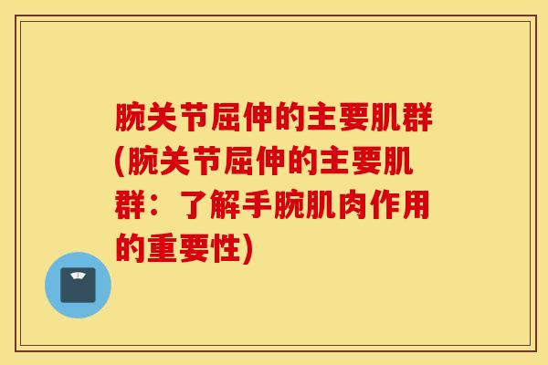 腕关节屈伸的主要肌群(腕关节屈伸的主要肌群:了解手腕肌肉作用的重要性)-第1张图片-氨糖科普网 腕关节屈伸的主要肌群(腕关节屈伸的主要肌群:了解手腕肌肉作用的重要性)-第1张图片-氨糖科普网