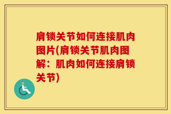 肩锁关节如何连接肌肉图片(肩锁关节肌肉图解:肌肉如何连接肩锁关节)-第1张图片-氨糖科普网 肩锁关节如何连接肌肉图片(肩锁关节肌肉图解:肌肉如何连接肩锁关节)-第1张图片-氨糖科普网