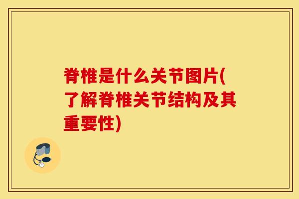 脊椎是什么关节图片(了解脊椎关节结构及其重要性)-第1张图片-氨糖科普网 脊椎是什么关节图片(了解脊椎关节结构及其重要性)-第1张图片-氨糖科普网