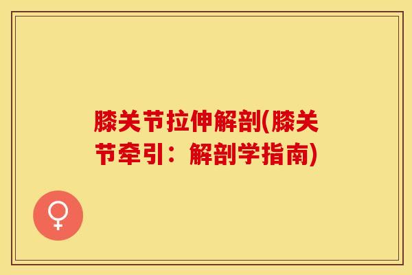 膝关节拉伸解剖(膝关节牵引:解剖学指南)-第1张图片-氨糖科普网 膝关节拉伸解剖(膝关节牵引:解剖学指南)-第1张图片-氨糖科普网