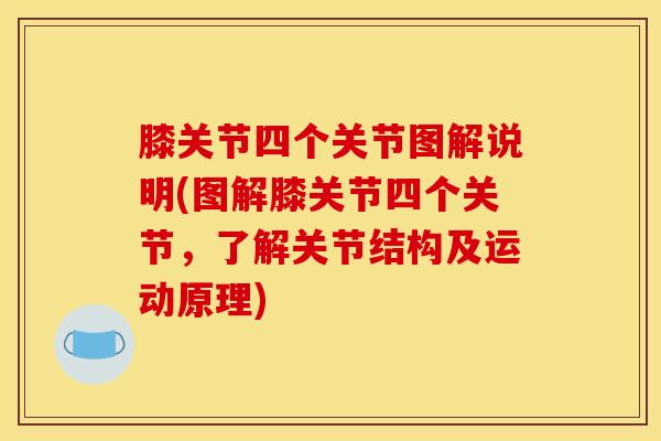膝关节四个关节图解说明(图解膝关节四个关节，了解关节结构及运动原理)-第1张图片-氨糖科普网