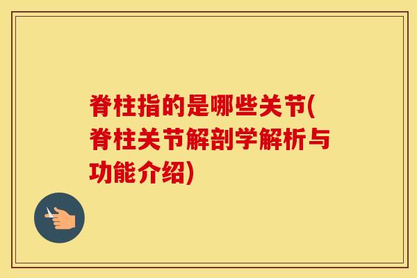 脊柱指的是哪些关节(脊柱关节解剖学解析与功能介绍)-第1张图片-氨糖科普网 脊柱指的是哪些关节(脊柱关节解剖学解析与功能介绍)-第1张图片-氨糖科普网