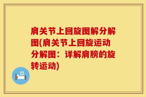 肩关节上回旋图解分解图(肩关节上回旋运动分解图:详解肩膀的旋转运动)-第1张图片-氨糖科普网 肩关节上回旋图解分解图(肩关节上回旋运动分解图:详解肩膀的旋转运动)-第1张图片-氨糖科普网