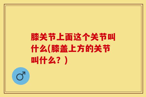 膝关节上面这个关节叫什么(膝盖上方的关节叫什么?)-第1张图片-氨糖科普网 膝关节上面这个关节叫什么(膝盖上方的关节叫什么?)-第1张图片-氨糖科普网