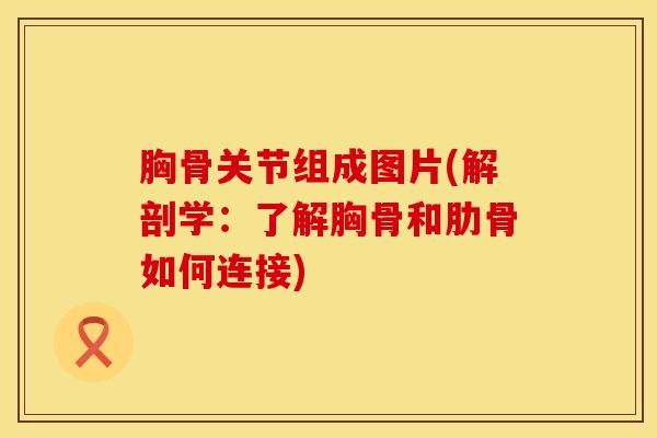 胸骨关节组成图片(解剖学:了解胸骨和肋骨如何连接)-第1张图片-氨糖科普网 胸骨关节组成图片(解剖学:了解胸骨和肋骨如何连接)-第1张图片-氨糖科普网