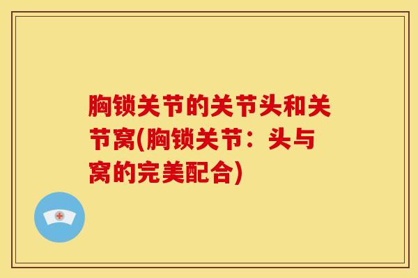 胸锁关节的关节头和关节窝(胸锁关节:头与窝的完美配合)-第1张图片-氨糖科普网 胸锁关节的关节头和关节窝(胸锁关节:头与窝的完美配合)-第1张图片-氨糖科普网