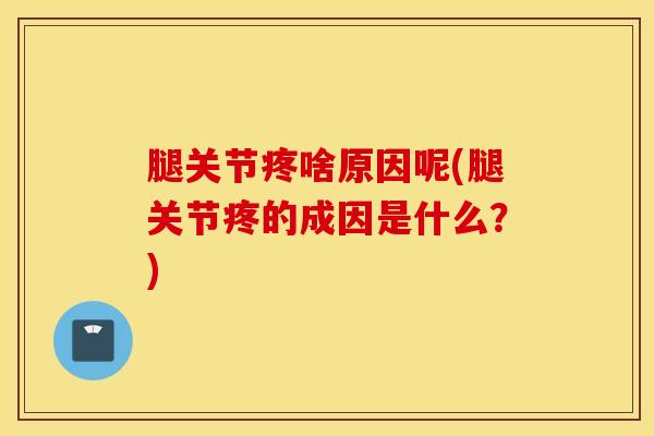 腿关节疼啥原因呢(腿关节疼的成因是什么?)-第1张图片-氨糖科普网 腿关节疼啥原因呢(腿关节疼的成因是什么?)-第1张图片-氨糖科普网