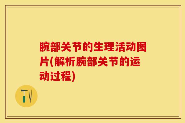腕部关节的生理活动图片(解析腕部关节的运动过程)-第1张图片-氨糖科普网 腕部关节的生理活动图片(解析腕部关节的运动过程)-第1张图片-氨糖科普网