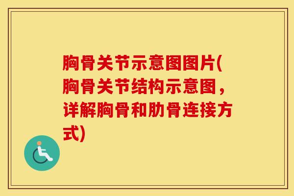 胸骨关节示意图图片(胸骨关节结构示意图,详解胸骨和肋骨连接方式)-第1张图片-氨糖科普网 胸骨关节示意图图片(胸骨关节结构示意图,详解胸骨和肋骨连接方式)-第1张图片-氨糖科普网