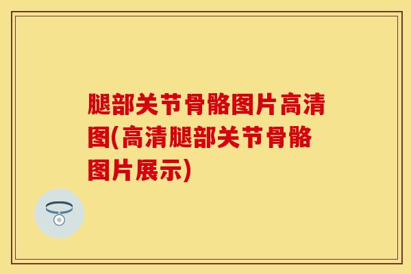腿部关节骨骼图片高清图(高清腿部关节骨骼图片展示)-第1张图片-氨糖科普网 腿部关节骨骼图片高清图(高清腿部关节骨骼图片展示)-第1张图片-氨糖科普网