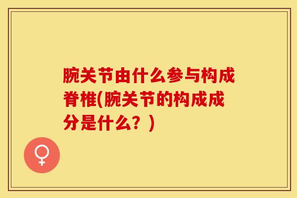 腕关节由什么参与构成脊椎(腕关节的构成成分是什么?)-第1张图片-氨糖科普网 腕关节由什么参与构成脊椎(腕关节的构成成分是什么?)-第1张图片-氨糖科普网