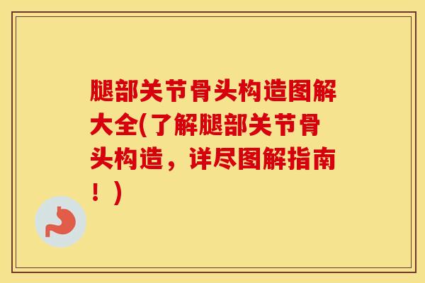 腿部关节骨头构造图解大全(了解腿部关节骨头构造,详尽图解指南!)-第1张图片-氨糖科普网 腿部关节骨头构造图解大全(了解腿部关节骨头构造,详尽图解指南!)-第1张图片-氨糖科普网