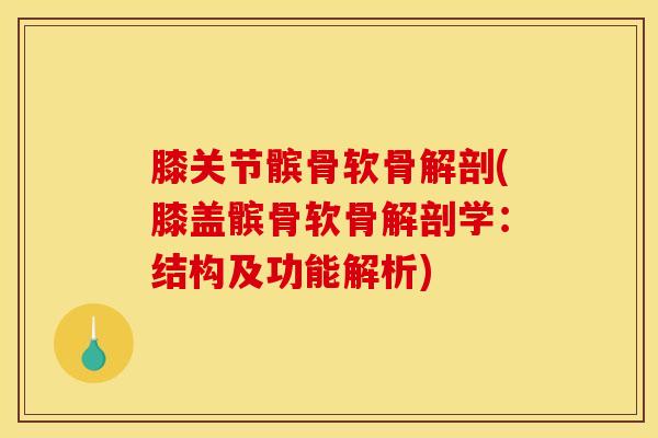 膝关节髌骨软骨解剖(膝盖髌骨软骨解剖学:结构及功能解析)-第1张图片-氨糖科普网 膝关节髌骨软骨解剖(膝盖髌骨软骨解剖学:结构及功能解析)-第1张图片-氨糖科普网