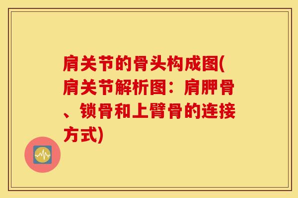 肩关节的骨头构成图(肩关节解析图:肩胛骨、锁骨和上臂骨的连接方式)-第1张图片-氨糖科普网 肩关节的骨头构成图(肩关节解析图:肩胛骨、锁骨和上臂骨的连接方式)-第1张图片-氨糖科普网