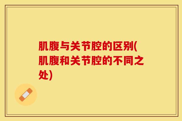 肌腹与关节腔的区别(肌腹和关节腔的不同之处)-第1张图片-氨糖科普网 肌腹与关节腔的区别(肌腹和关节腔的不同之处)-第1张图片-氨糖科普网