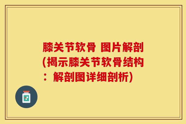膝关节软骨 图片解剖(揭示膝关节软骨结构:解剖图详细剖析)-第1张图片-氨糖科普网 膝关节软骨 图片解剖(揭示膝关节软骨结构:解剖图详细剖析)-第1张图片-氨糖科普网