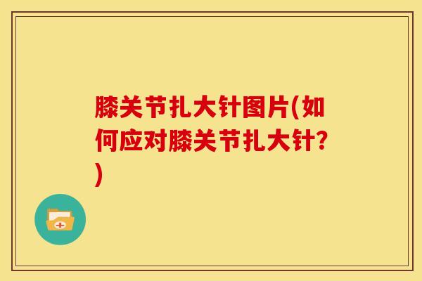 膝关节扎大针图片(如何应对膝关节扎大针?)-第1张图片-氨糖科普网 膝关节扎大针图片(如何应对膝关节扎大针?)-第1张图片-氨糖科普网