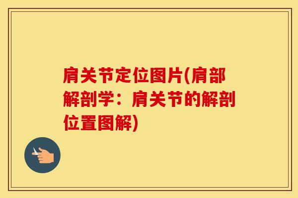 肩关节定位图片(肩部解剖学：肩关节的解剖位置图解)-第1张图片-氨糖科普网