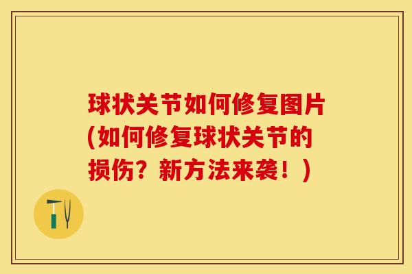 球状关节如何修复图片(如何修复球状关节的损伤?新方法来袭!)-第1张图片-氨糖科普网 球状关节如何修复图片(如何修复球状关节的损伤?新方法来袭!)-第1张图片-氨糖科普网