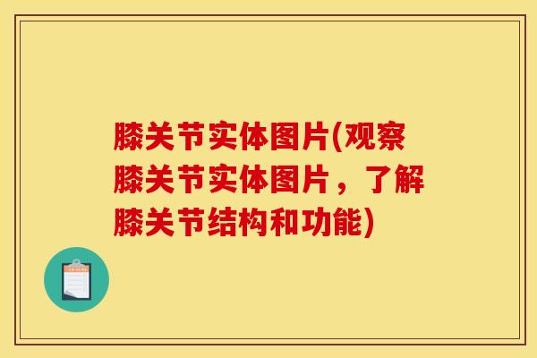 膝关节实体图片(观察膝关节实体图片,了解膝关节结构和功能)-第1张图片-氨糖科普网 膝关节实体图片(观察膝关节实体图片,了解膝关节结构和功能)-第1张图片-氨糖科普网