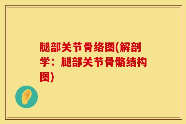 腿部关节骨络图(解剖学：腿部关节骨骼结构图)-第1张图片-氨糖科普网