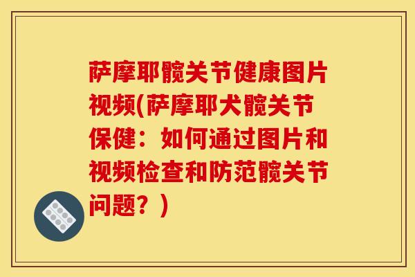 萨摩耶髋关节健康图片视频(萨摩耶犬髋关节保健:如何通过图片和视频检查和防范髋关节问题?)-第1张图片-氨糖科普网 萨摩耶髋关节健康图片视频(萨摩耶犬髋关节保健:如何通过图片和视频检查和防范髋关节问题?)-第1张图片-氨糖科普网