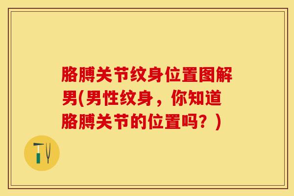 胳膊关节纹身位置图解男(男性纹身,你知道胳膊关节的位置吗?)-第1张图片-氨糖科普网 胳膊关节纹身位置图解男(男性纹身,你知道胳膊关节的位置吗?)-第1张图片-氨糖科普网