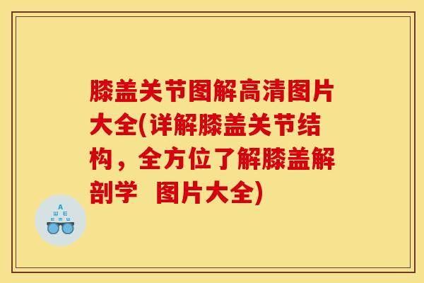 膝盖关节图解高清图片大全(详解膝盖关节结构，全方位了解膝盖解剖学  图片大全)-第1张图片-氨糖科普网