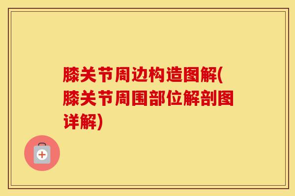 膝关节周边构造图解(膝关节周围部位解剖图详解)-第1张图片-氨糖科普网