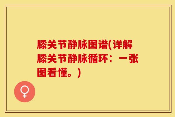 膝关节静脉图谱(详解膝关节静脉循环：一张图看懂。)-第1张图片-氨糖科普网